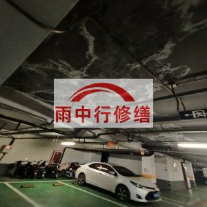 黄浦鄂尔多斯万基西山丽景地下室堵漏